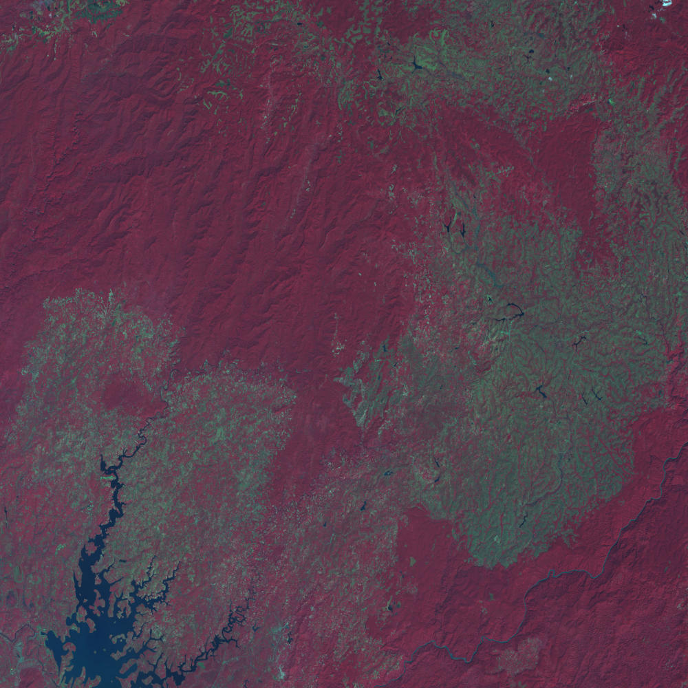Example satellite image